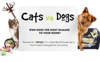 Cats vs Dogs: Who Does the Most Damage?