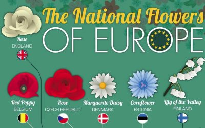 Flowers That Represent European Nations