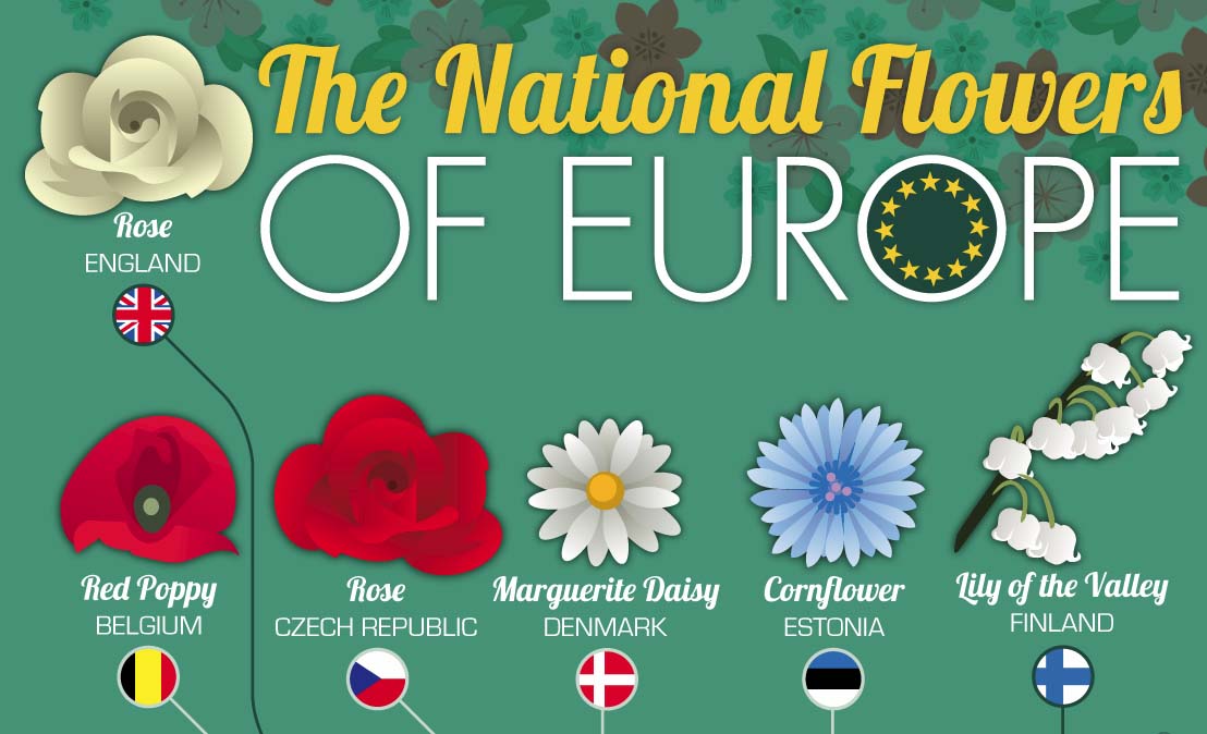 flowers-that-represent-european-nations-infographic