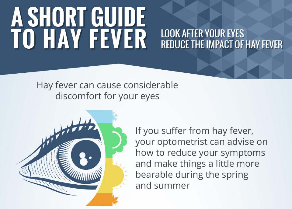 Guide to Hay Fever [Infographic]