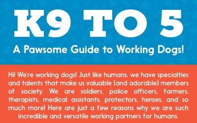 K9 to 5: A Pawsome Guide to Working Dogs