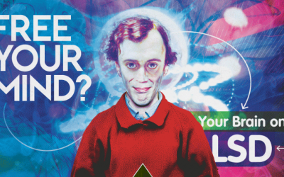 Free Your Mind? Your Brain On LSD