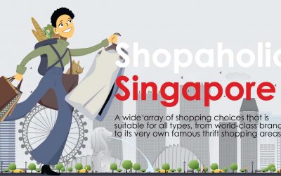 Singapore Shopping Destinations Guide