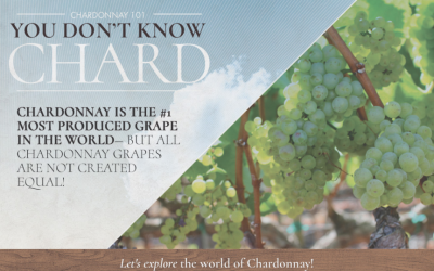 Chardonnay 101: You Don’t Know Chard