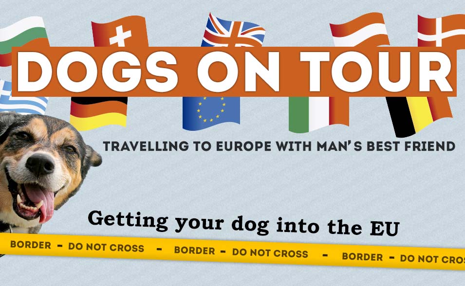 dog travel europe to uk