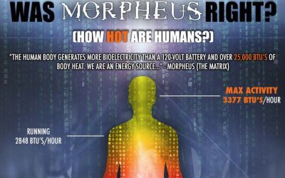 Was Morpheus Right – How Hot Are Humans?