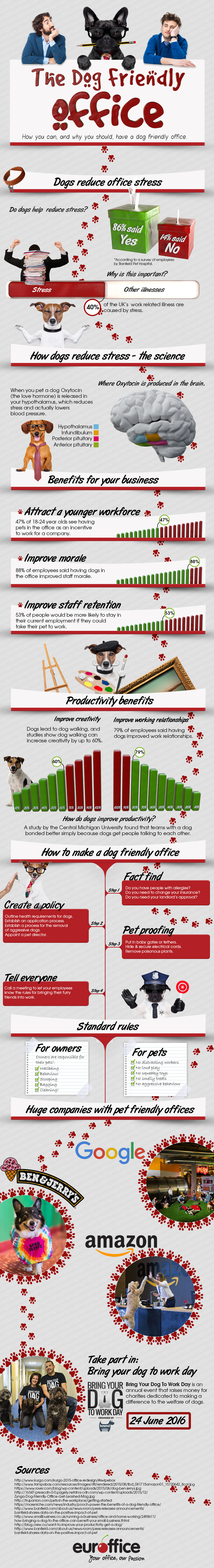 Making Your Office Dog-Friendly
