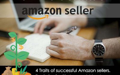 The DNA of a Successful Amazon Seller