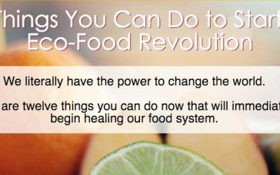 12 Things to Start an Eco-Food Revolution