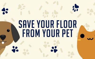 Save Your Floor From Your Pets