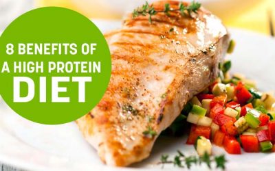 The Benefits of a High Protein Diet