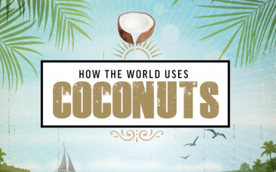 How the World Uses Coconuts