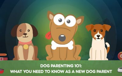 Dog Parenting 101: What You Need To Know as a New Dog Parent