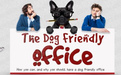 Making Your Office Dog-Friendly