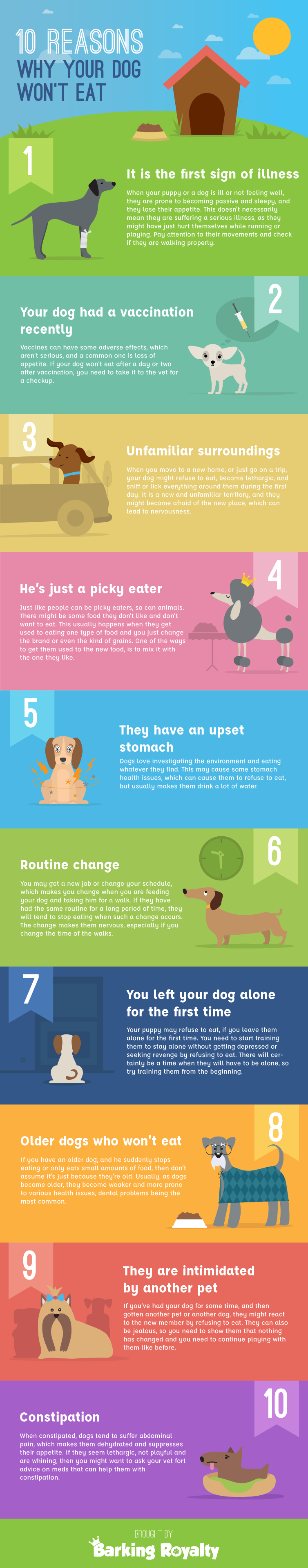 10 Reasons Why Your Dog Won’t Eat