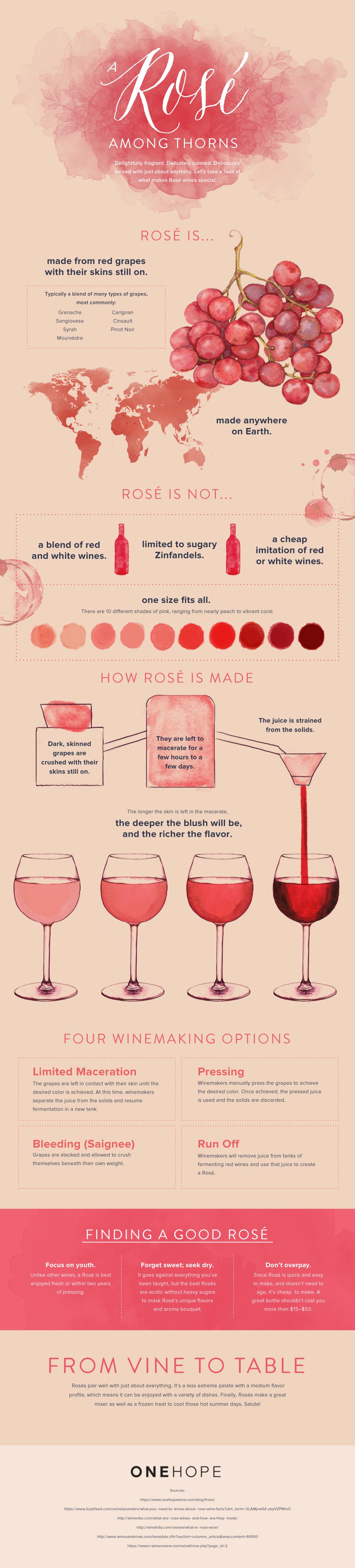 Rosé 101: Everything You Need To Know About This Delicious Wine