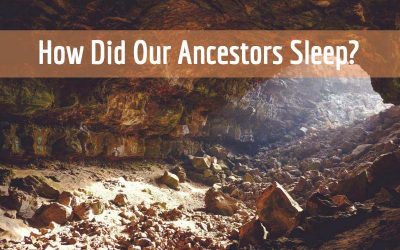 How Did Our Ancestors Sleep?