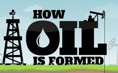 How Oil Is Formed