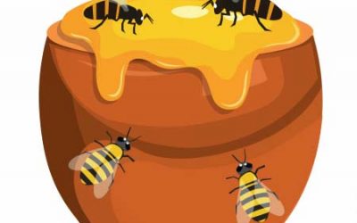 Why We Need To Save The Bees