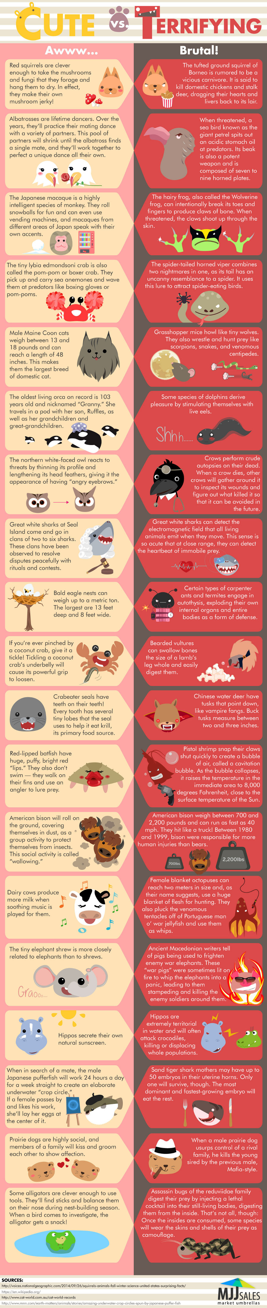 Cute vs Terrifying Facts About Animals