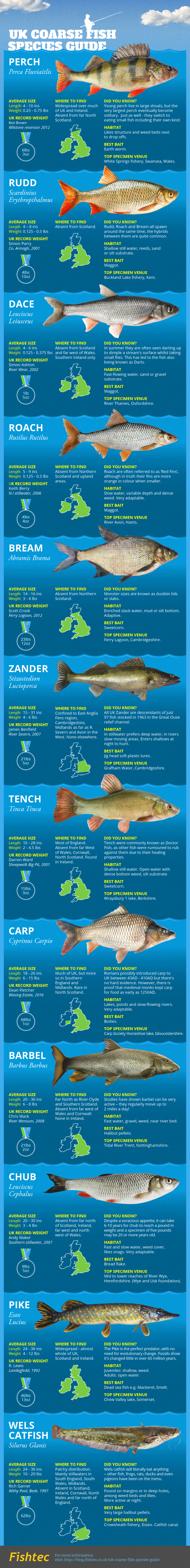 UK Coarse Fish Species Guide