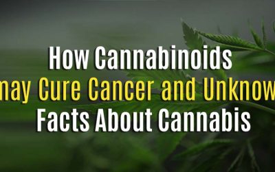 How Cannabis May Cure Cancer