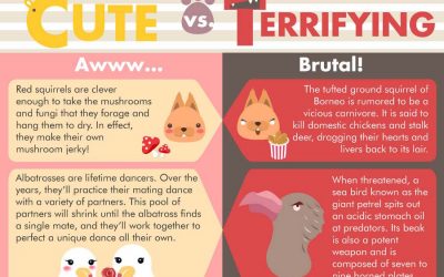 Cute vs Terrifying Facts About Animals
