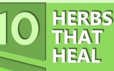 Top 10 Herbs That Heal