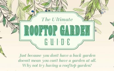 The Ultimate Rooftop Garden Guide