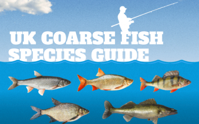 UK Coarse Fish Species Guide