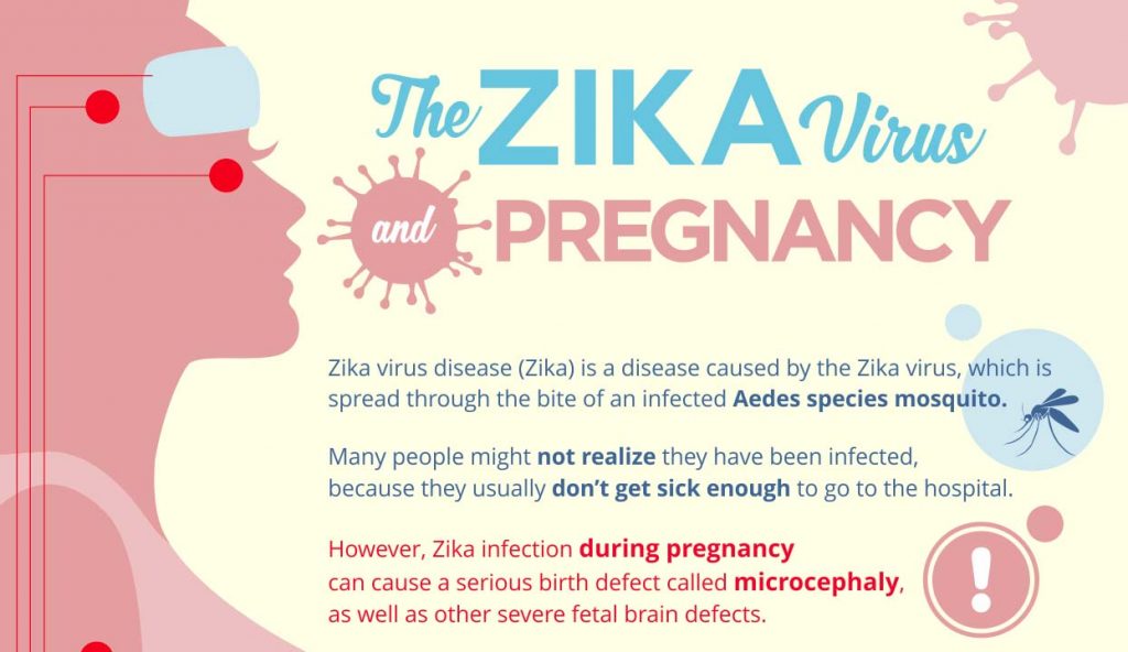 The Zika Virus And Pregnancy Infographic 