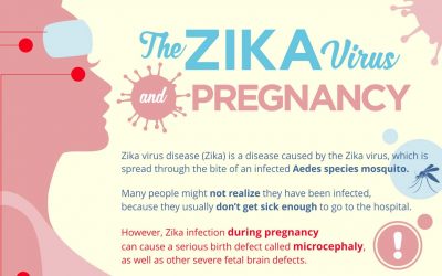 The Zika Virus and Pregnancy