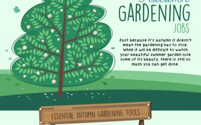 Autumn Gardening Jobs