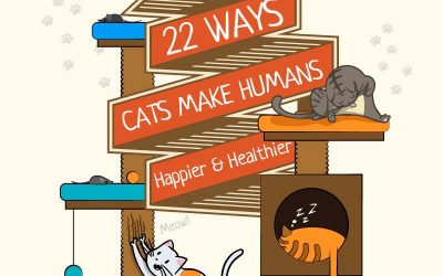 22 Ways Cats Make People Happier And Healthier