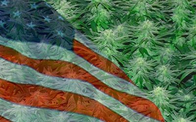 The State of Marijuana Law