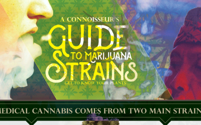 A Connoisseur’s Guide To Marijuana Strains