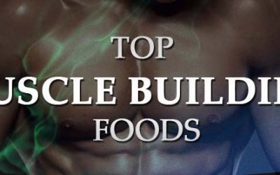 Top Muscle Building Foods