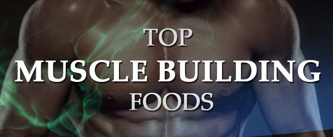 Top Muscle Building Foods Infographic 9712