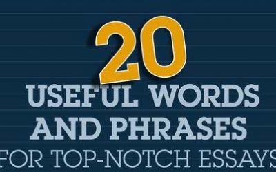 How To Write A Top-Notch Essay