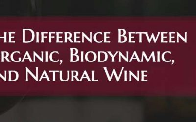 The Difference Between Organic, Biodynamic, and Natural Wine