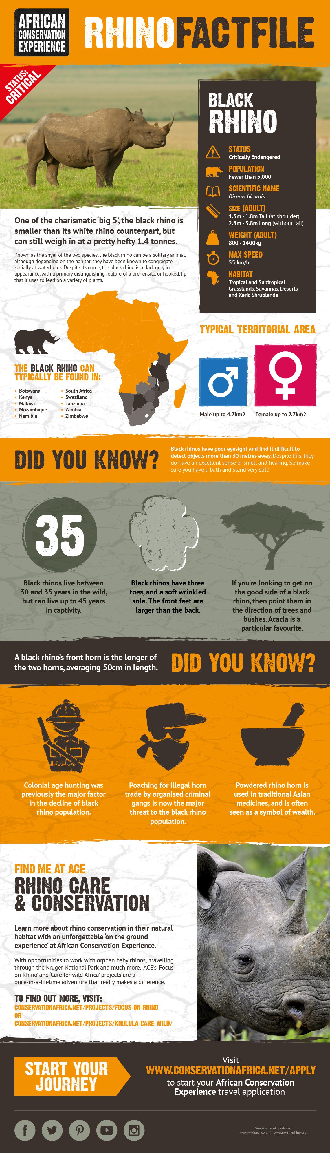 African Black Rhino: Some Eye-Opening Facts