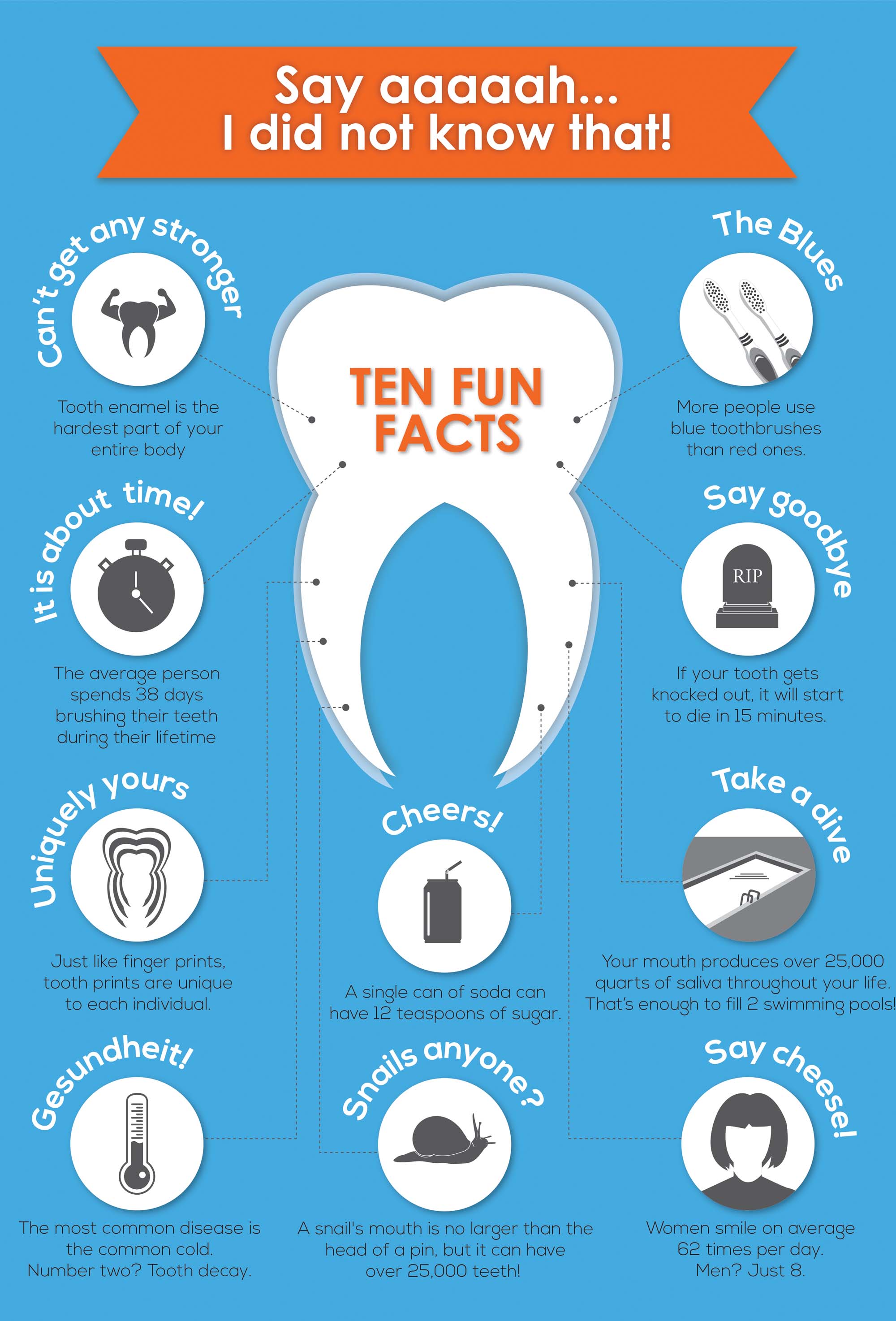 tooth facts 