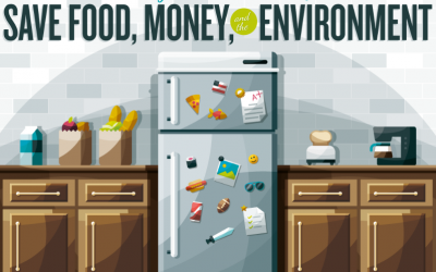 Savvy Food Storage: Save Food, Money, And The Environment