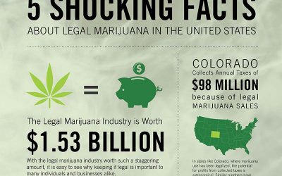 5 Shocking Facts About Legal Marijuana in the United States