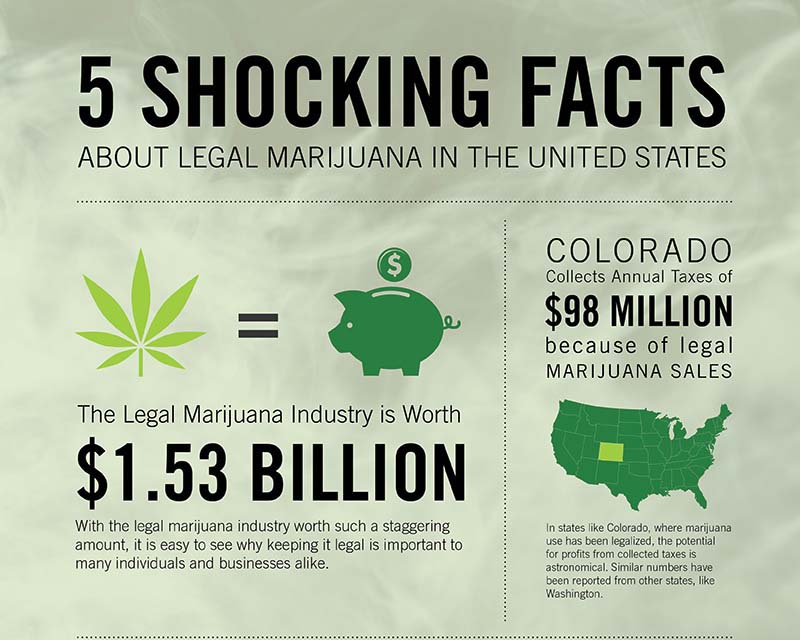 Best facts. Marijuana legalization facts. Marijuana произношение. Legalized marijuana USA. Shocking facts.