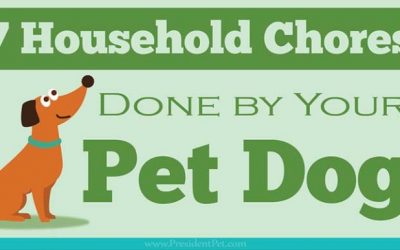 7 Household Chores That Can Be Done by Your Dog