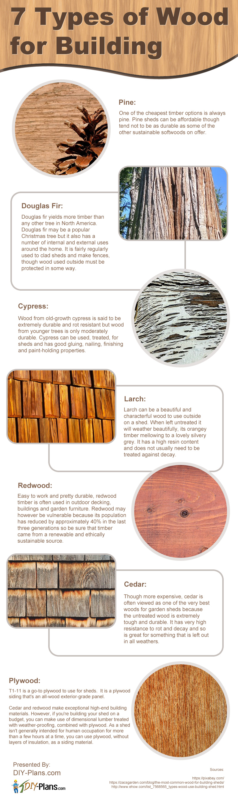Types of Wood for Shed Building