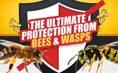 Ultimate Protection from Bees and Wasps