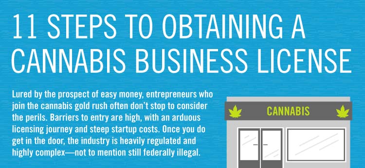 11 Steps To Obtaining A Cannabis Business License [Infographic]