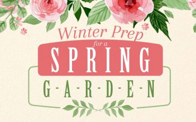 Winter Prep for a Spring Garden